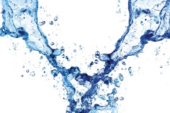 adconion_02